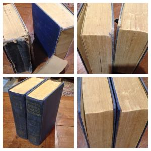 These books had spines dethatched, frayed and faded cloth, the corners were damaged, exposed & swollen, some pages were loose and torn. We re-backed the book in a cloth dyed to match, consolidated the corners and recovered, repaired pages, re-attached the original spine and rejuvenated the cloth.